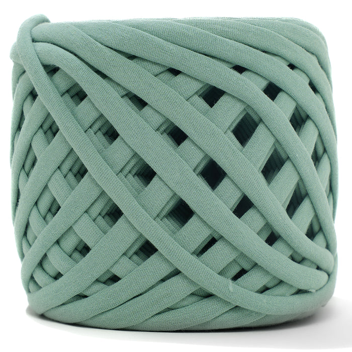 Premium T-Shirt Fabric Yarn Agave Color