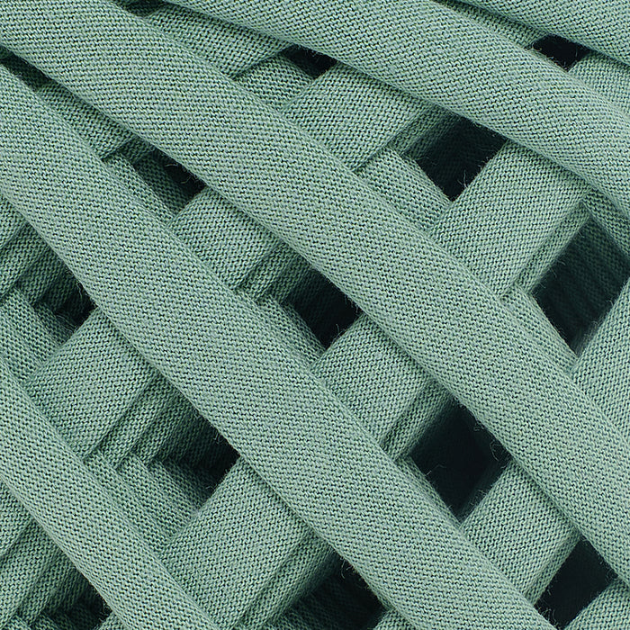 Premium T-Shirt Fabric Yarn Agave Color