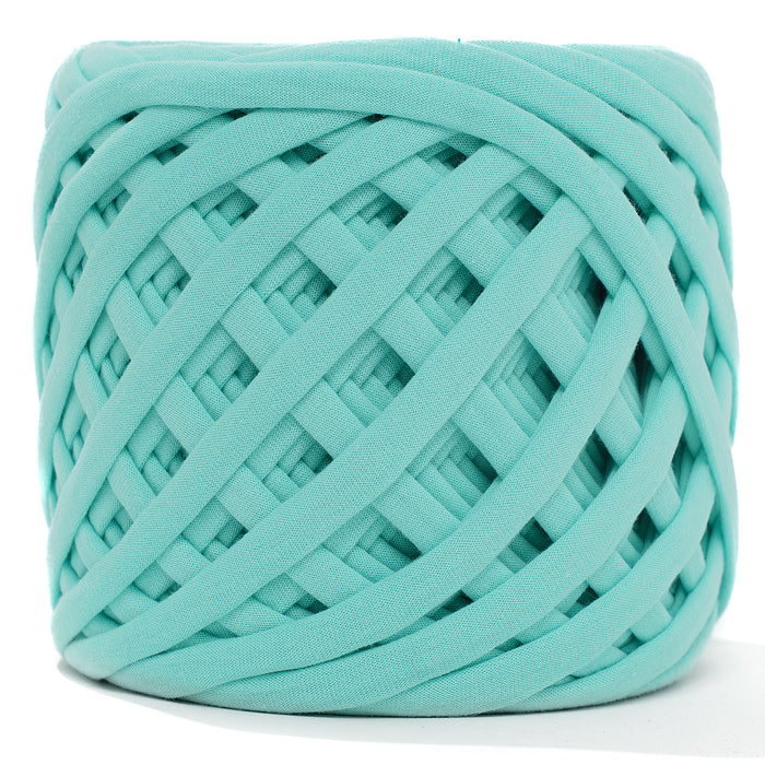 Premium T-Shirt Fabric Yarn Caribbean Sea Color