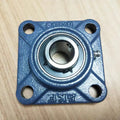 Rear Bearings