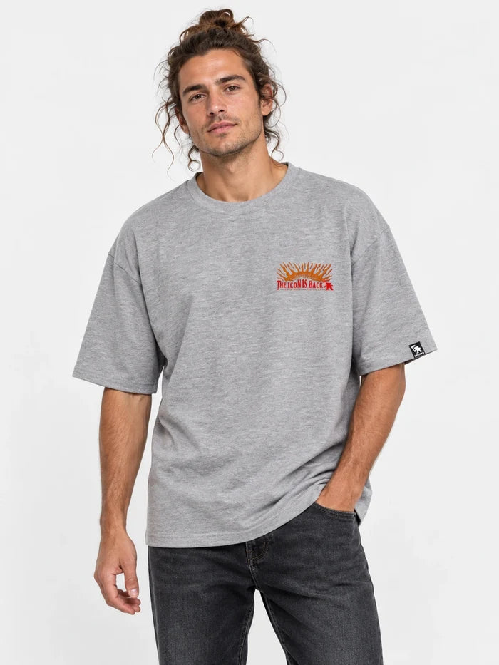Remera Gotcha Back Oversize Gris — vista principal