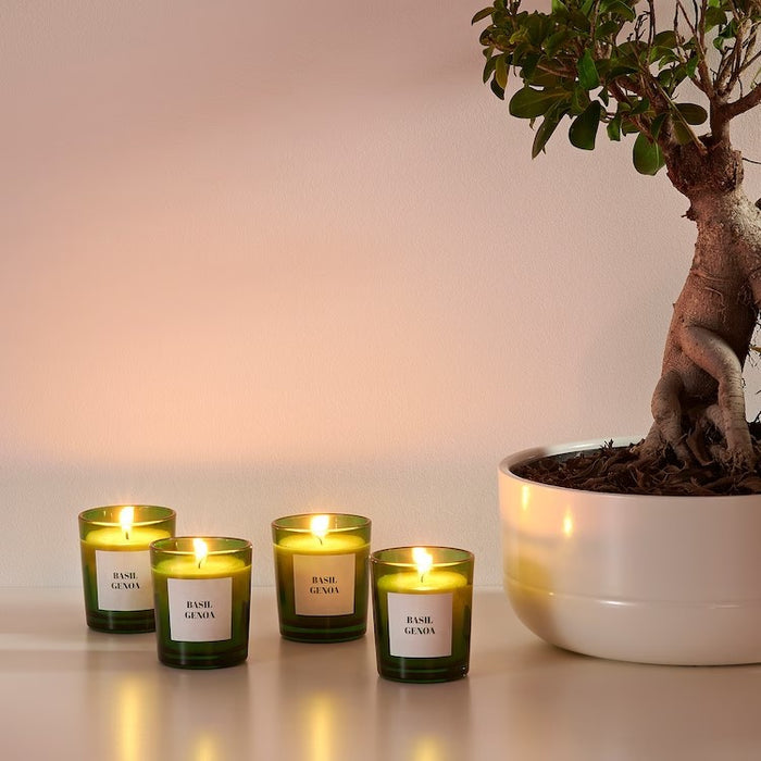 RINGLAD Scented candle in glass, Basil/green, 4pack