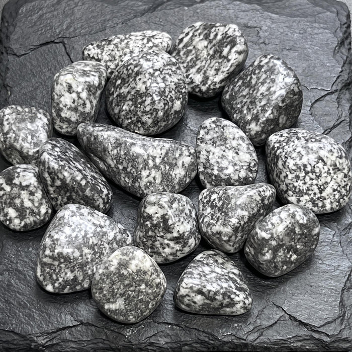 Salt and Pepper Diorite Tumbled Stones (By The Piece or Pound) Genuine Mineral Healing Crystals and Stones