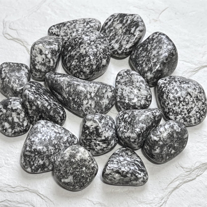 Salt and Pepper Diorite Tumbled Stones (By The Piece or Pound) Genuine Mineral Healing Crystals and Stones