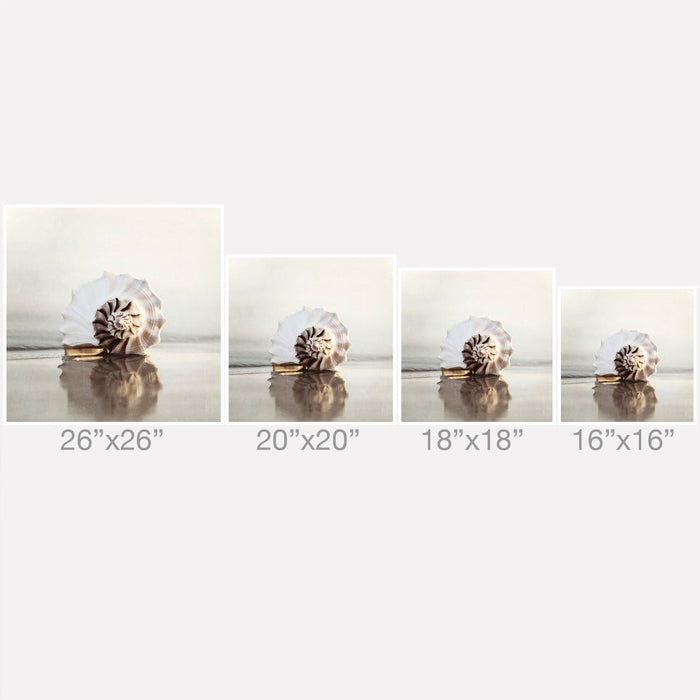 SEASHELL THROW PILLOW