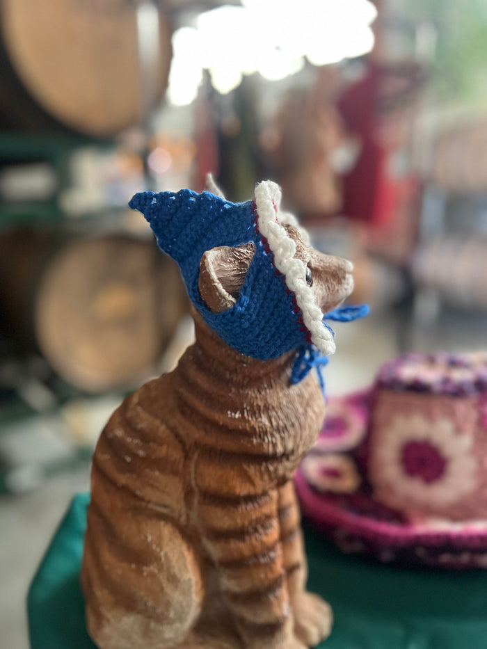 Shark Cat Hat