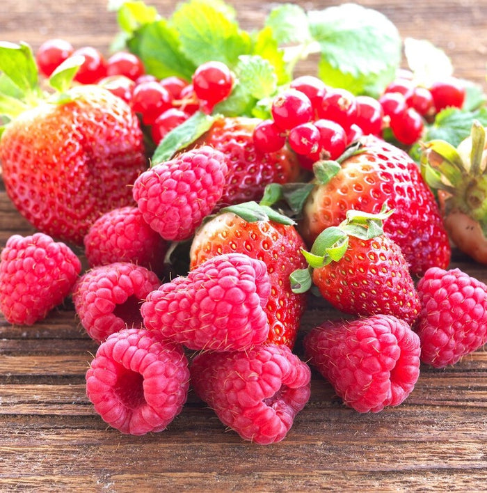 SINNLIG Scented tealight, Red garden berries/red, 30pcs