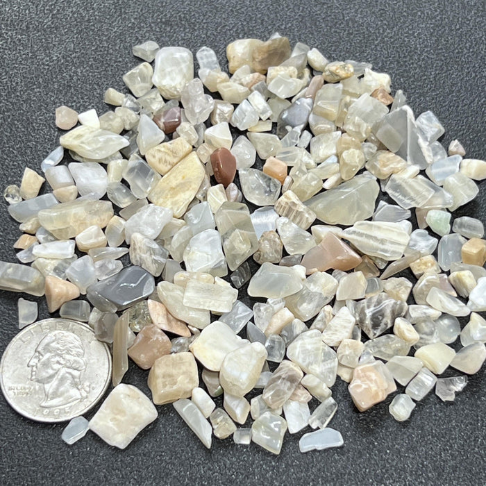 Small Mixed Moonstone Crystal Tumbled Stones (By The Ounce or Pound)