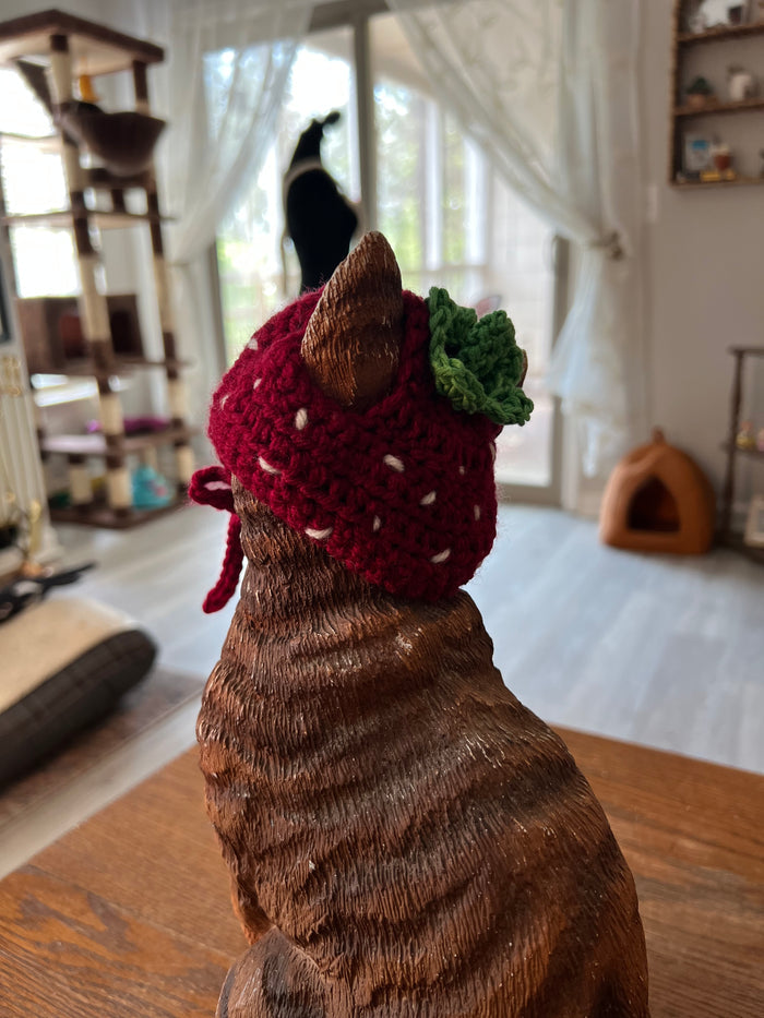 Strawberry Cat Hat