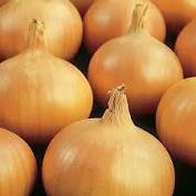 Sturon onion sets - brown skinned onion bulbs ready for planting