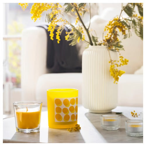 SVARTOXBAR Scented candle in glass, Mimosa/yellow, 45hr