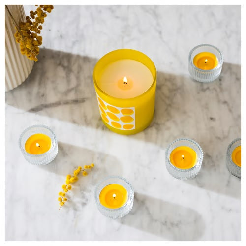 SVARTOXBAR Scented candle in glass, Mimosa/yellow, 45hr