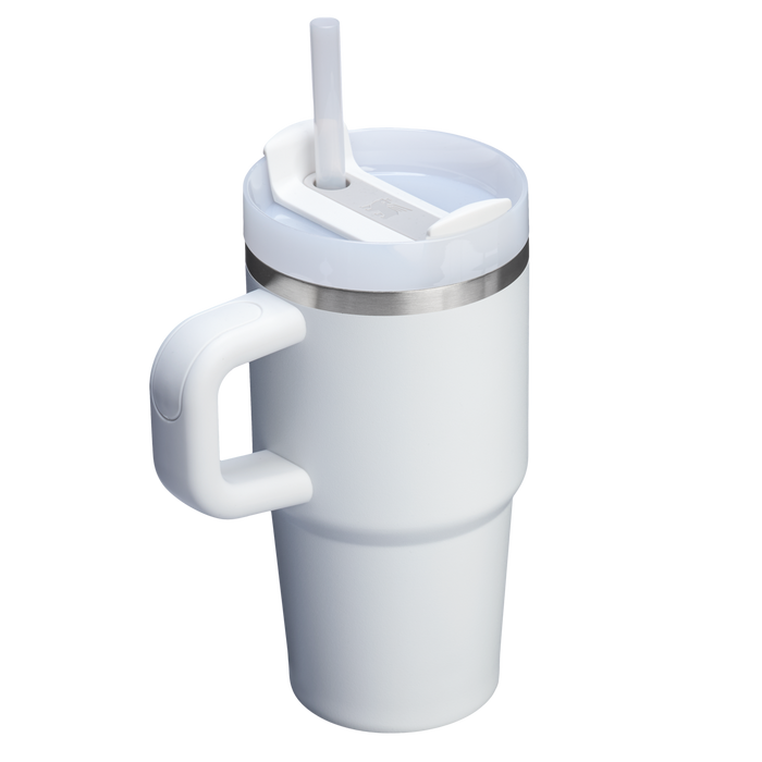 The Quencher H2.O 20 oz FlowState Tumbler with handle and straw in Frost White