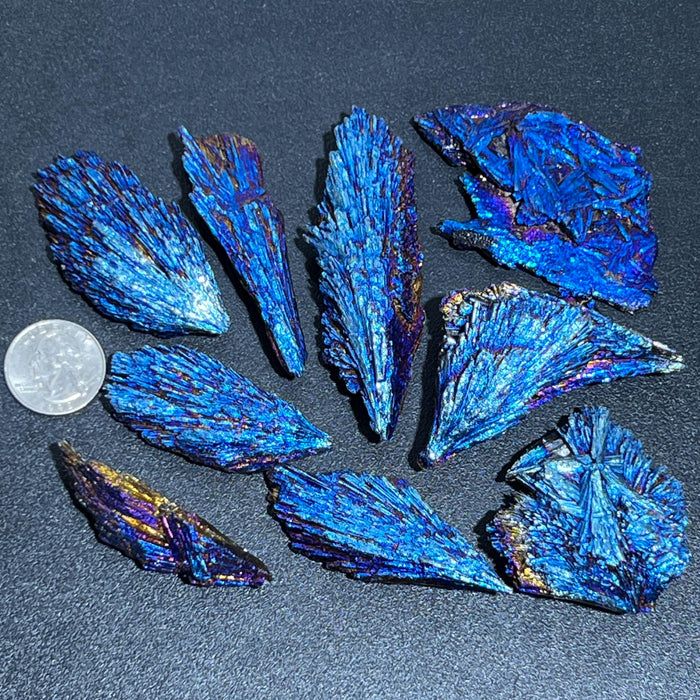 Titanium Aura Black Kyanite Crystal Rough Fans (By The Piece or Pound)