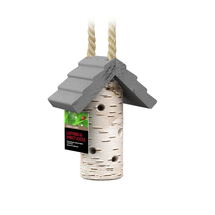 Tom Chambers ladybird and insect lodge wooden insect house for garden beneficial insects and pollinators