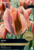 Local botanical artist sketching colourful flowers and potted plants at Pengelly Garden Centre