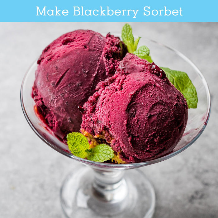 Two scoops of blackberry sorbet in a glass bowl with mint leaves - Buy Now Icy Treats Ice Cream & Dessert Maker + Chocolate Fountain Fondue Set with Serving Tray