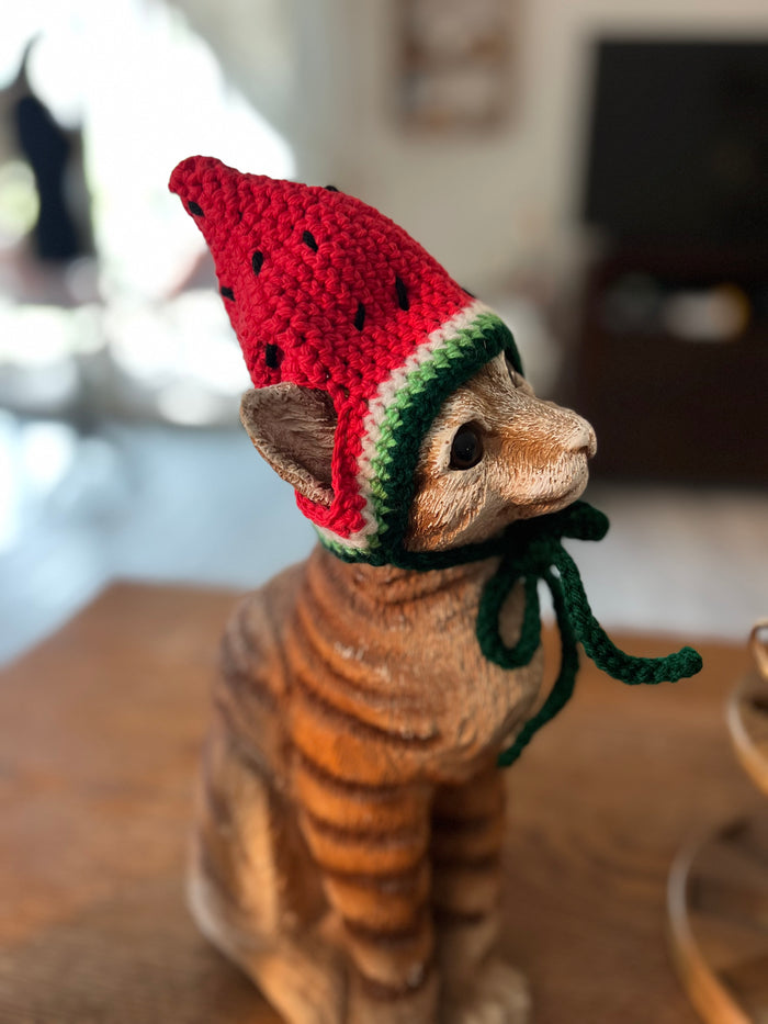 Watermelon Cat Hat