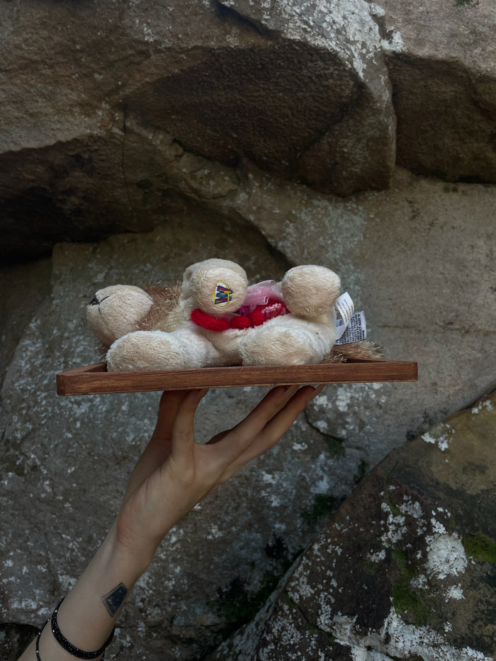 Webkinz Dog - Vegan Taxidermy