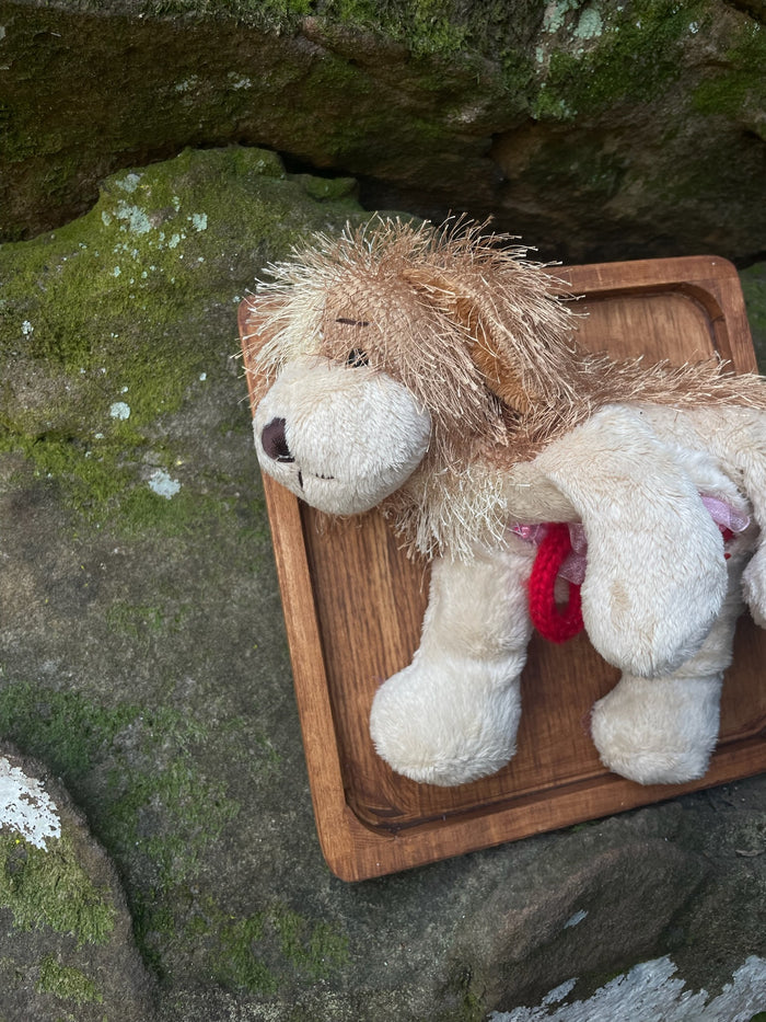 Webkinz Dog - Vegan Taxidermy