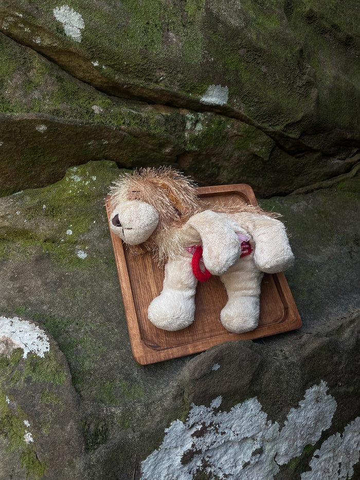 Webkinz Dog - Vegan Taxidermy