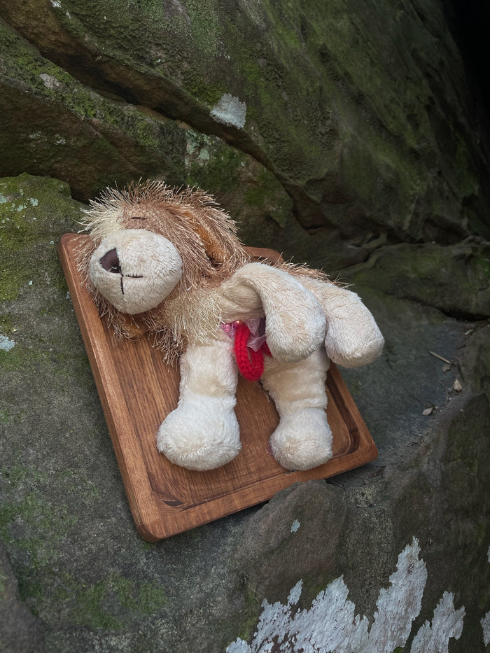 Webkinz Dog - Vegan Taxidermy