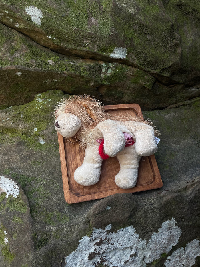 Webkinz Dog - Vegan Taxidermy