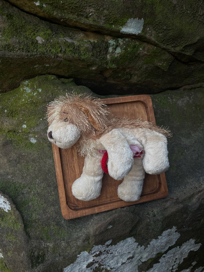 Webkinz Dog - Vegan Taxidermy
