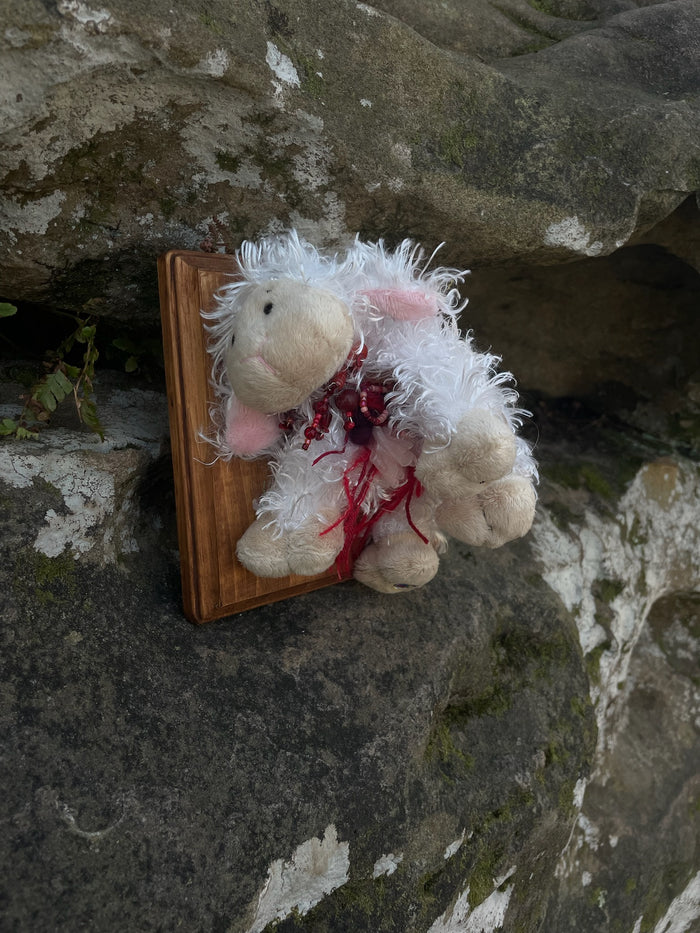Webkinz Lamb - Vegan Taxidermy