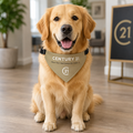 Wordmark Pet Bandana - NEW